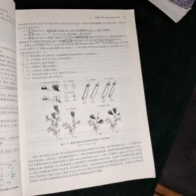 现代遗传学教程--从基因到表型的剖析(第2版普通高等教育十一五国家级规划教材)