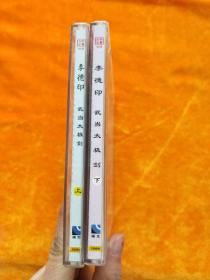 李德印武当太极剑上下2VCD