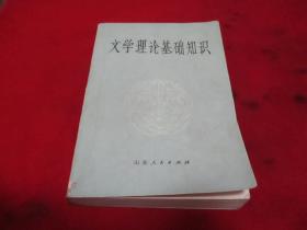 文学理论基础知识《1991年版》