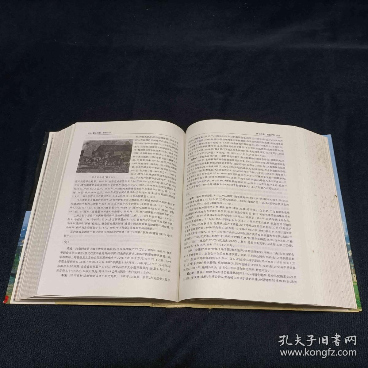 上海县志