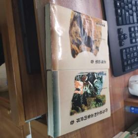 叔本华文集【作为意志和表象的世界、悲观论集两卷全】（品见图，9品左右品好）