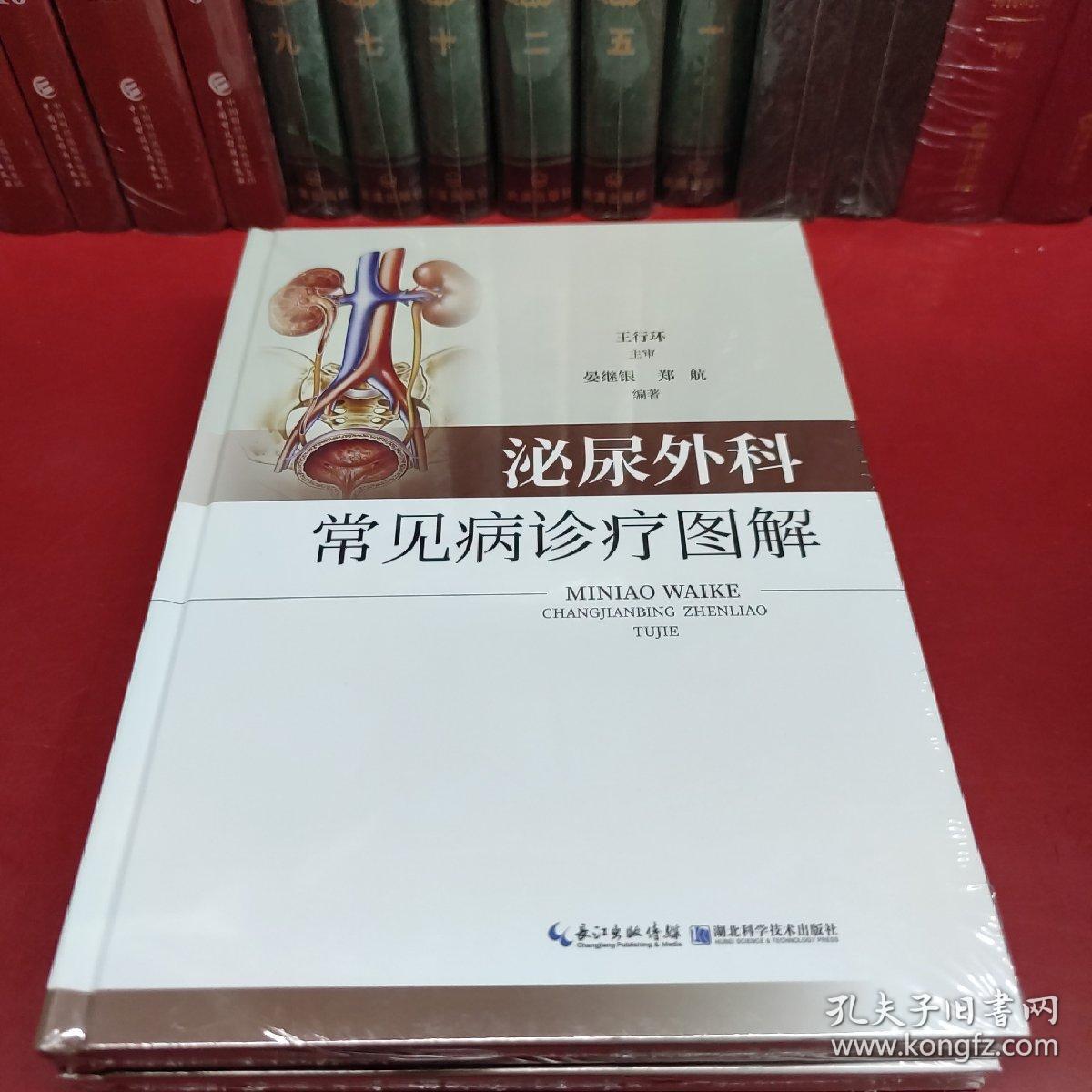 泌尿外科常见病诊疗图解（精装）