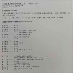 中国艺术品收藏百科全书6传统工艺品卷