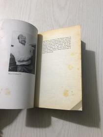 Notes from a Big Country