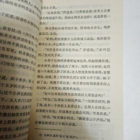 哈吉穆拉特   文学小丛书