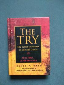 The Try: The Secret to Success in Life and Career（英文原版）