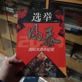 选举风暴:2004国际大选年纪实