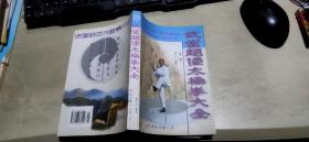 武当赵堡太极拳大全  第二版（平装大32开   2001年5月2版1印   有描述有清晰书影供参考）