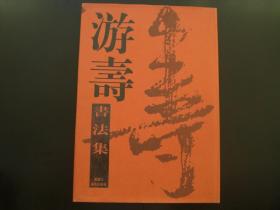 游寿书法集   一版一印仅5000册  现书  包邮  接近全新  收藏 未阅   王宝秀 主编    黑龙江美术出版社   九五品新