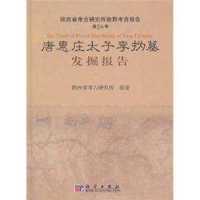 唐惠庄太子李沩墓发掘报告：陕西省考古研究所田野考古报告第26号