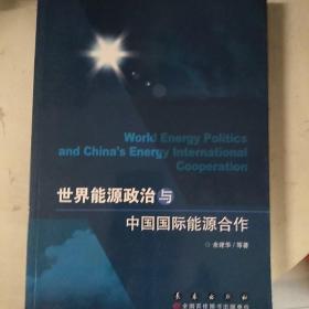 世界能源政治与中国国际能源合作