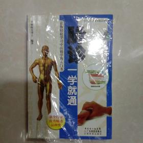 脉诊一学就通