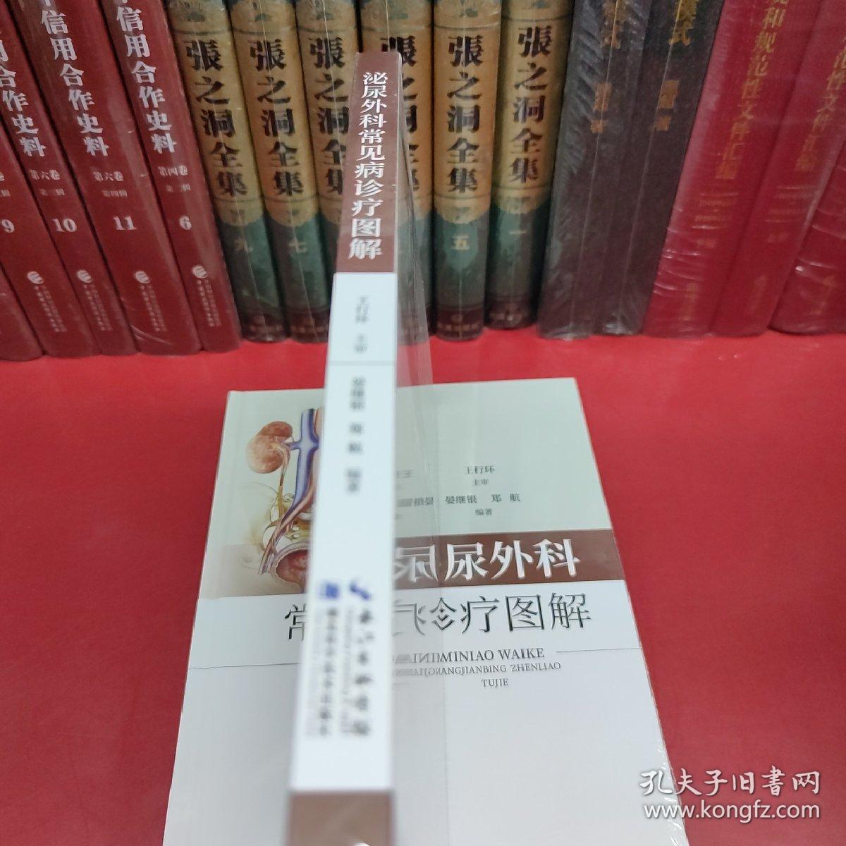 泌尿外科常见病诊疗图解（精装）