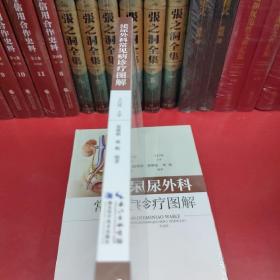 泌尿外科常见病诊疗图解（精装）