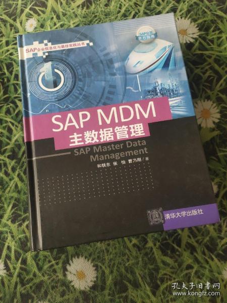 SAP MDM 主数据管理