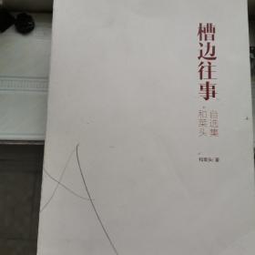 槽边往事：和菜头自选集