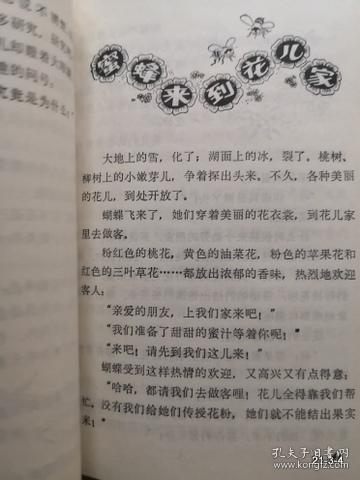 木头脑袋”的朋友们