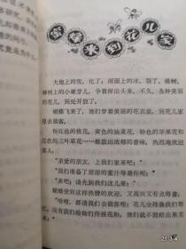 木头脑袋”的朋友们