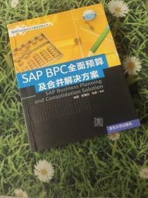 SAP企业信息化与最佳实践丛书：SAP BPC全面预算及合并解决方案