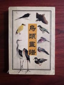 鸟类画谱