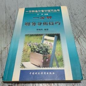 一分鐘財(cái)務(wù)分析技巧