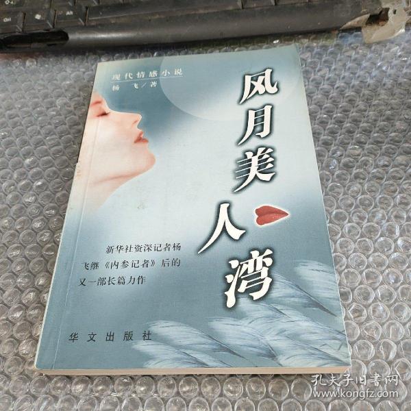 风月美人湾:现代情感小说