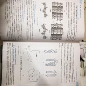 生物化学与分子生物学  第8版