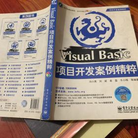 Visual Basic项目开发案例精粹