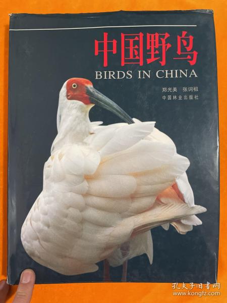 中国野鸟