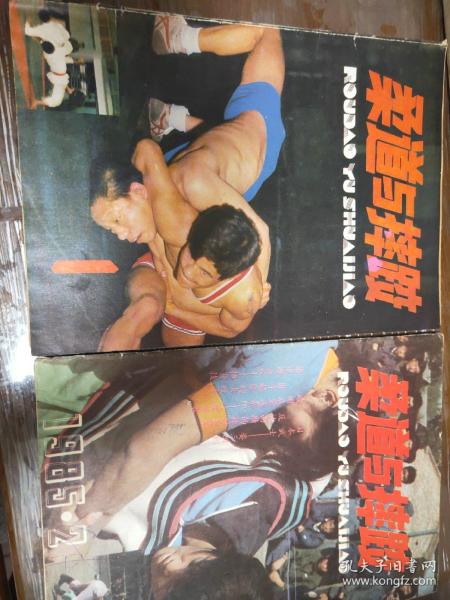 柔道与摔跤 杂志1985年（1-6）