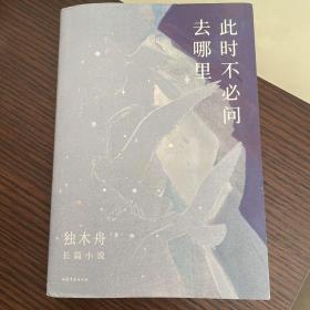 此时不必问去哪里（80后文学领军作家独木舟暌违五年，2020长篇力作）