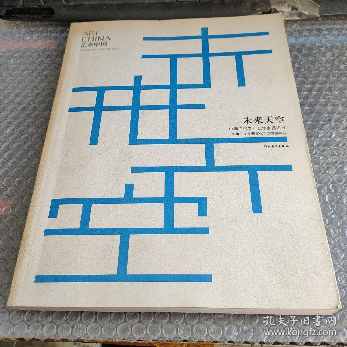 未来天空：中国当代青年艺术家提名展