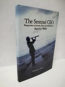 The Sentinel CEO: Perspectives on Security