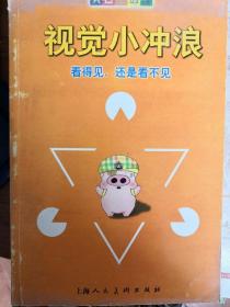 视觉小冲浪-看得见还是看不见