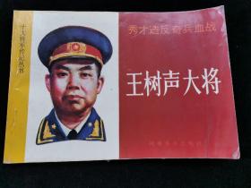 十大将军传记丛书王树声大将