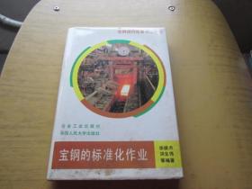 宝钢的标准化作业--宝钢现代化管理丛书 第十一册