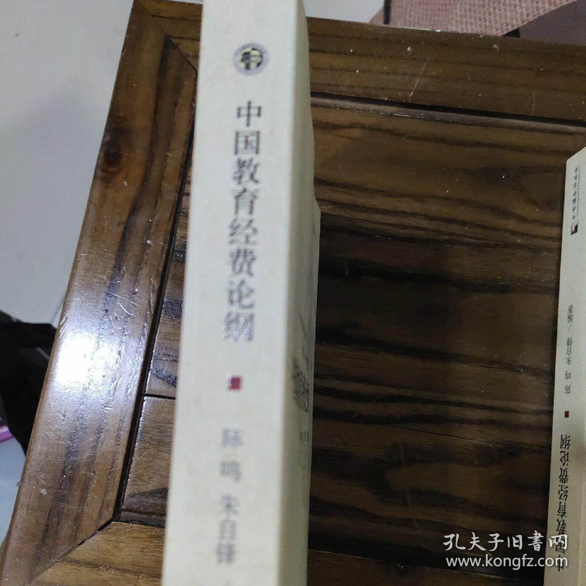 中国教育经费论纲