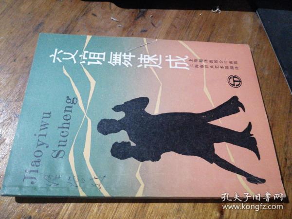 交谊舞速成