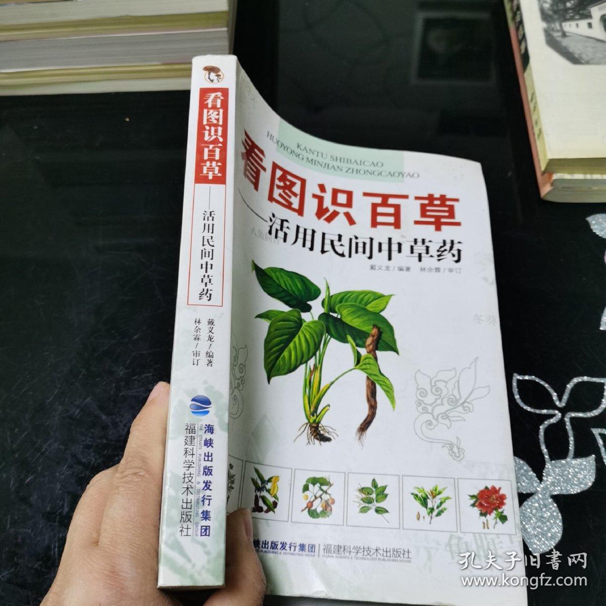 看图识百草：活用民间中草药