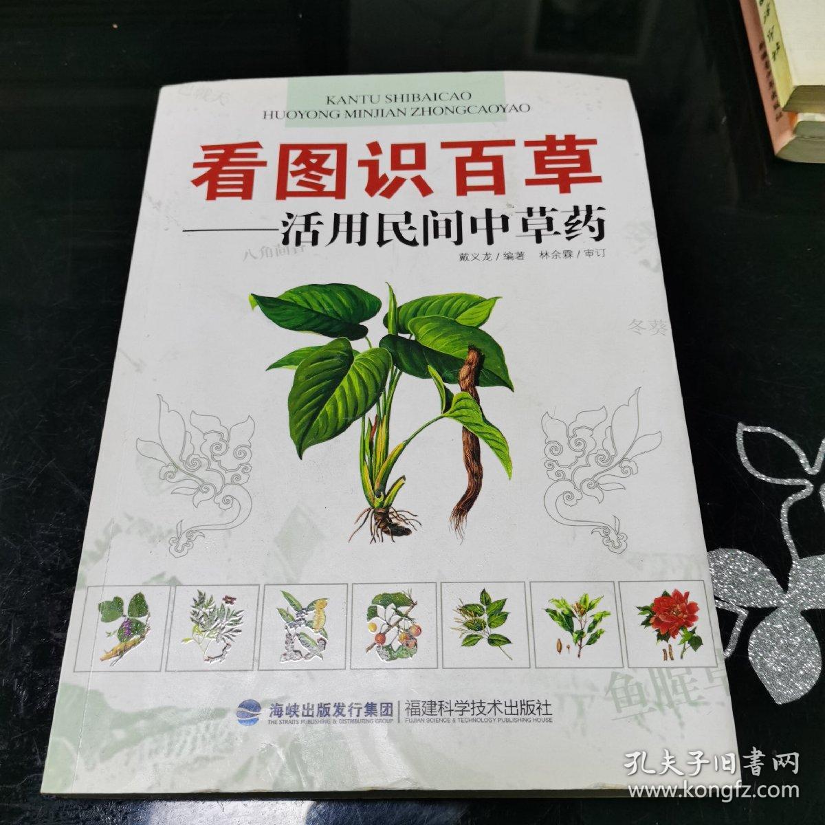 看图识百草：活用民间中草药