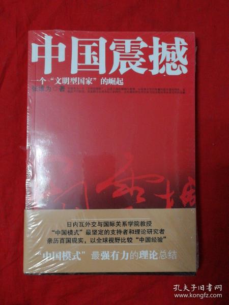 中国震撼：一个“文明型国家”的崛起