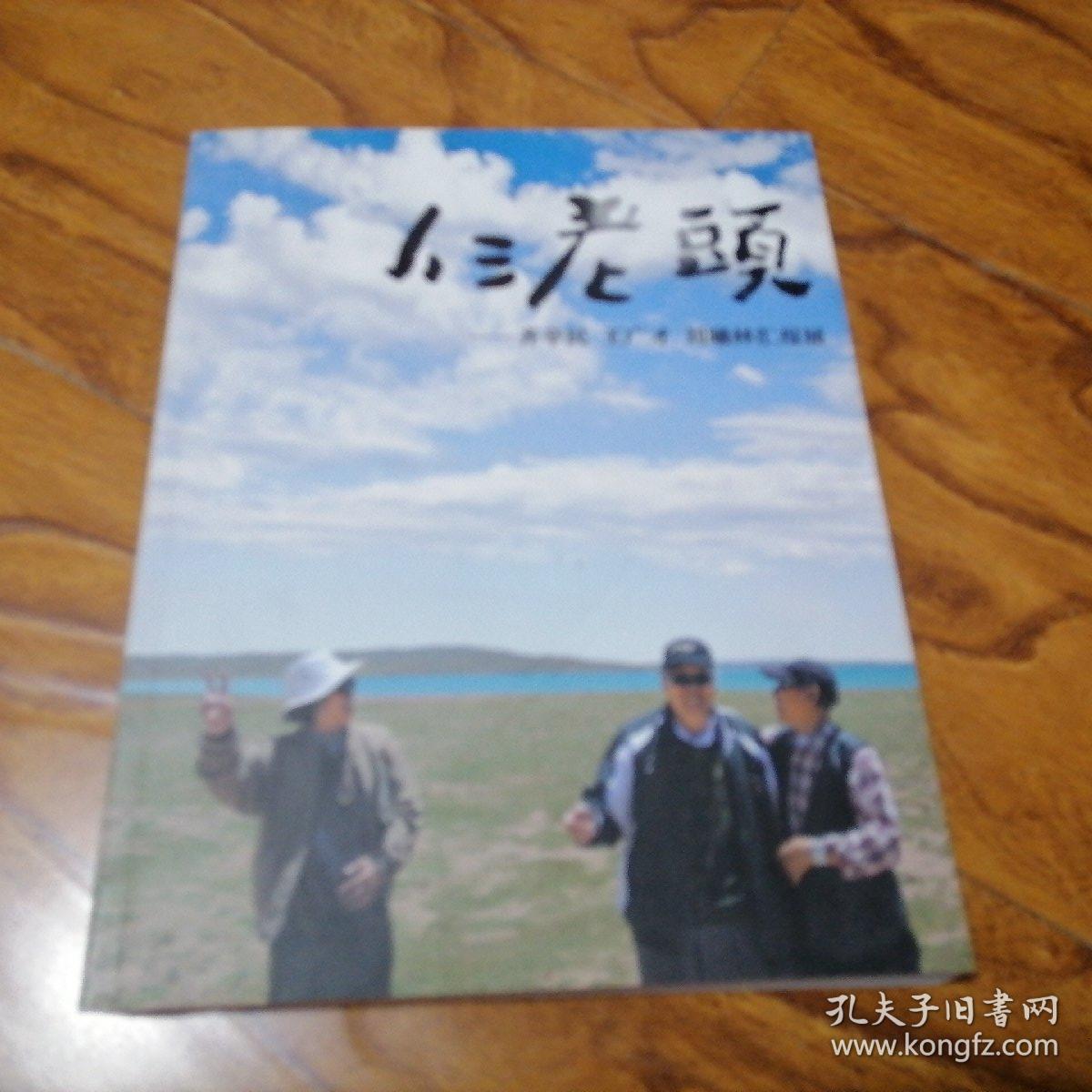 仨老头：齐辛民、王广才、刘曦林汇报展 大16开