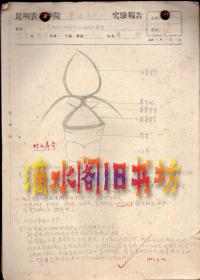 1963年9月12日至1964年6月4日昆明农林学院普通昆虫学实验报告手稿22页（铅笔书写，江教授红笔批改）