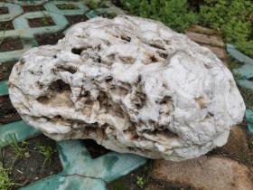 赣江出水奇石，硕大 约80斤。奇窍灵石 形色俱佳。