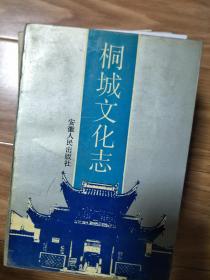 《桐城县文化志》