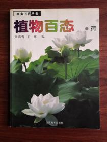 植物百态.荷