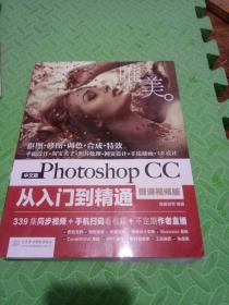 中文版Photoshop CC从入门到精通（微课视频版）