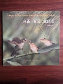 麻雀 百灵 文须雀