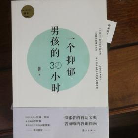 一个抑郁男孩的30小时