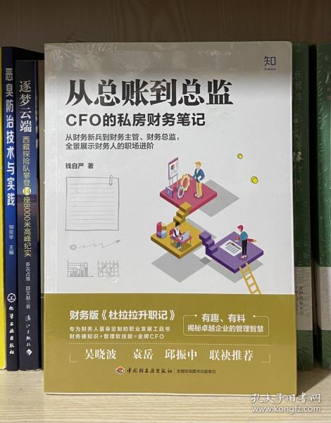 从总账到总监：CFO的私房财务笔记